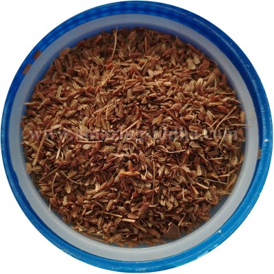 Carrot Vidhai | Carrot Seeds | Gaajar | Gajjari | Daucus Carota 50gm