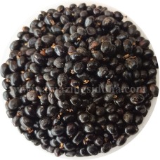 Gundumani Black | Jequirity | Gunj | Abrus Precatorius 100gm