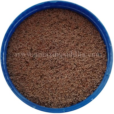 Isappukal Vidhai | Spogel Seeds | Isbaghol | Plantago Ispaghula 100gm