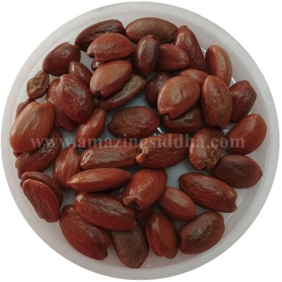 Mahilam Vidhai | Spanish Cherry Seeds | Maulsari | Mimusops Elengi 50gm