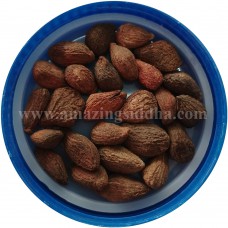 Neeradi Muthu | Jangli Almond | Jangli Badam | Hydnocarpus Inebrians 50gm