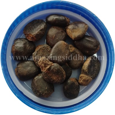 Serankottai | Marking Nuts | Bhilawan | Semicarpus Anacardium 250gm